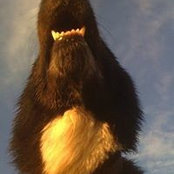 Steve Wilmans's photo