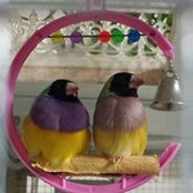 Foto de Barbara Mitchell McBride
