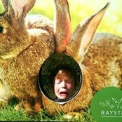 Foto von Pippity Pip