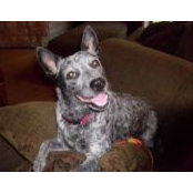 Chris Robison's photo