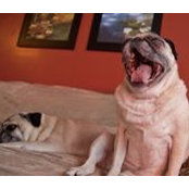 Kathy Coupland's photo