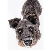 Kate Morgan's photo
