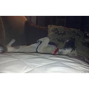 Nathan White's photo