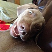 Christy Distler's photo