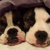 Penni Frising's photo