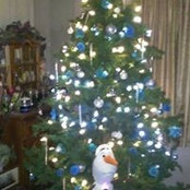 Dawn Ogden Mckane's photo