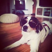 Doro Thau's photo