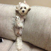 Frank Castillo's photo