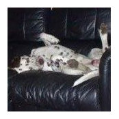 Lee Beswick's photo