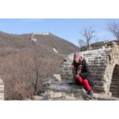 Carol Chan's photo
