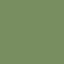 Dill - Paint