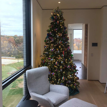 Living Space With Holiday Design