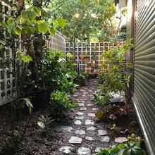 Shady Side Yard Ideas