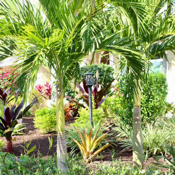 The Decker House - Tropical Design