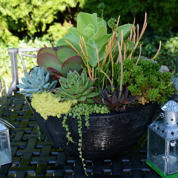 Raised Vegetable Bed / Ornamental Garden 2016