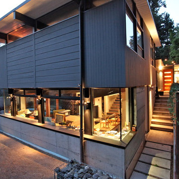 Jackson Park mid-century modern remodel