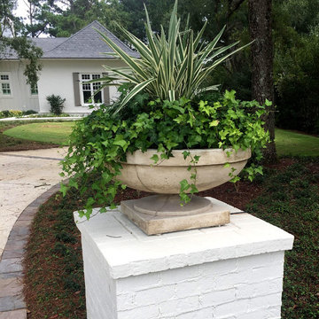 Lakewood Residence