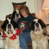 Luanne Palmer's photo