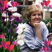 Foto de Bev Eiding