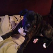 Patty Constantino's photo