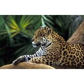 Christine Martinelli's photo