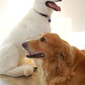 Marianne de Laet's photo