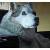 Scott Mertz's photo