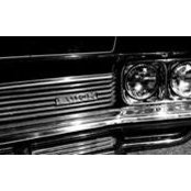 Daniel Breen's photo