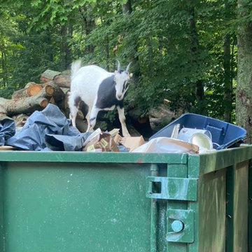 Dumpsters Rental Services