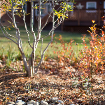 KilmerSt Deck & Raingarden