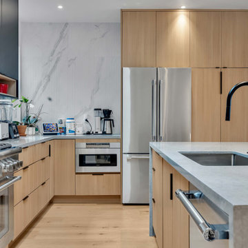 Potrero Hill - Complete Home Remodeling