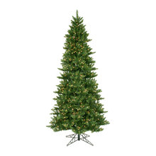 Trees