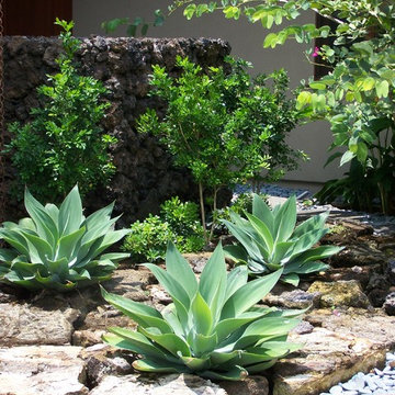 Tropical Landscape