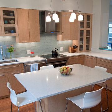Contemporary Kitchens