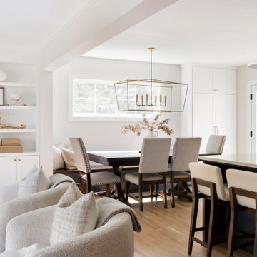 Edina Court - Whole Home Remodel