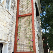 Trellis