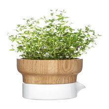 Planters and Pots