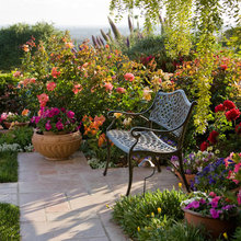 Rose Garden