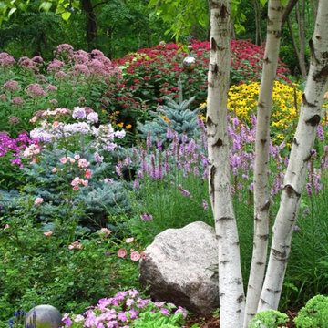 Back Yard Gardens