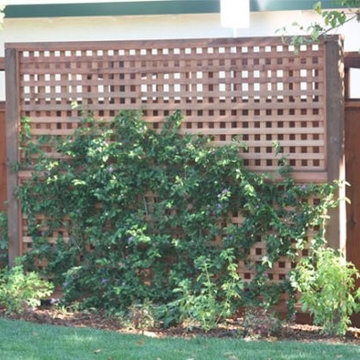 TRELLIS