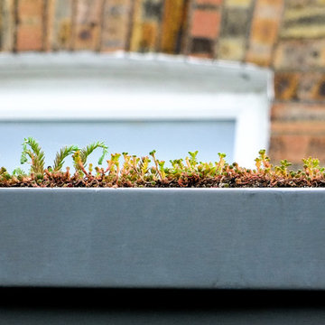 Cambridge Extension