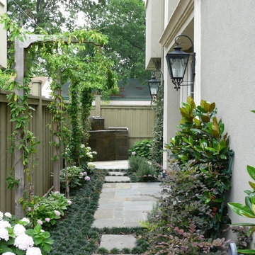 Modern Side Yard and Entrance