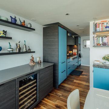 Hopkinson House Penthouse