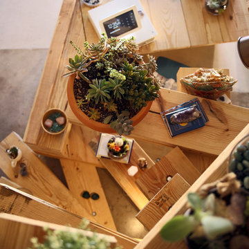 The Bodhi Tree House