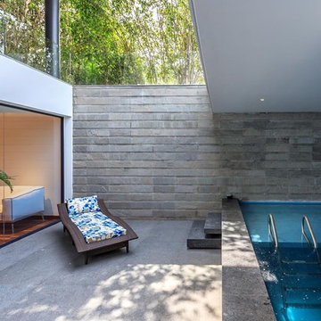 Caryota House