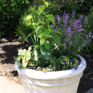 Seasonal Container Plantings & Changeovers