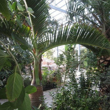 Amiri Diwan Royal Botanical Garden Kuwait