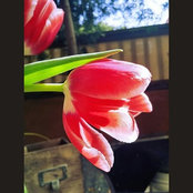 Euphemia Huang's photo