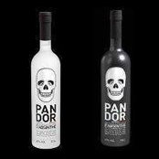 Benjamin Cohen Solal's photo