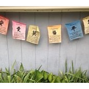 Colleen Redmond's photo